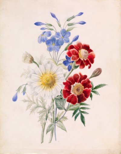 Blumen und weiße Gänseblümchen, um 1840 von French School